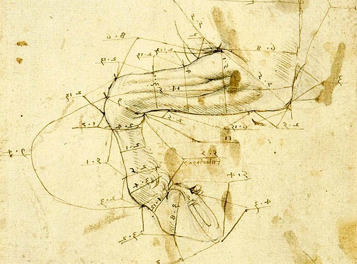 Análise matemática da perna do cavalo - Leonardo Da Vinci